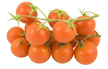 cherry tomatoes on the vine isolated on white background