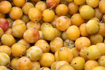 MIRABELLES - - - Marché - 13mopix