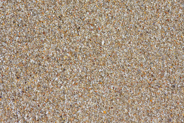 Quiberon 709
