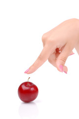 The female hand and juicy plums