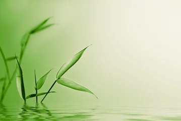  zen en jonge bamboe over groen - natuurachtergrond © Olivier Le Moal