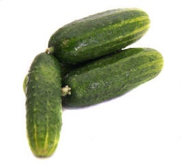 Ripe green cucumbers-natural source of vitamins and freshness