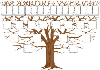 Genealogy - Arbre - Anc&ecirc;tre