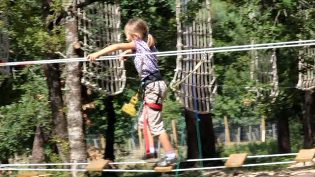 marcher dans les arbres