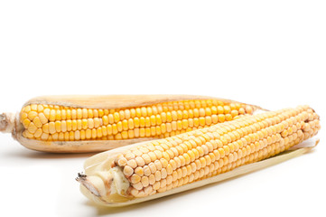 Corns