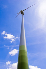 Windpark 11