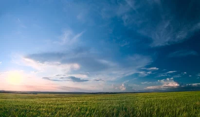 Keuken spatwand met foto summer lanscape © Maxim Pimenov