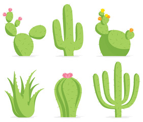 Cactus set