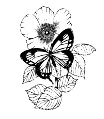 The butterfly on a flower.