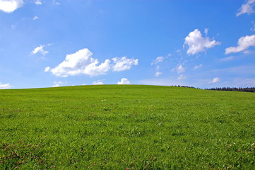 Obraz premium Ciel et pré.