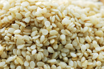 Semi di sesamo - Sesamum indicum