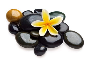 Spa still life with yellow flower on the wet stones