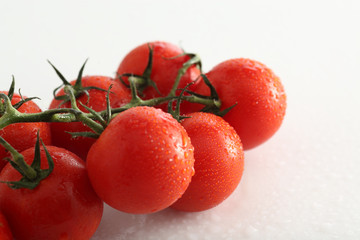 Strauchtomaten rot auf weiss mit Wassertropfen,