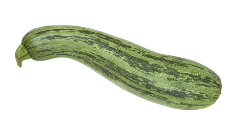 Zucchini isolated
