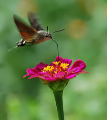 beautiful nature scene