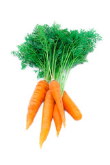 Bunch of a young fresh carrot on a white background