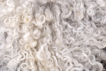 Wool