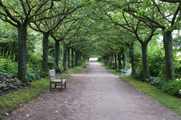 chemin boisé dans le jardin de l'abbaye de Valloires
