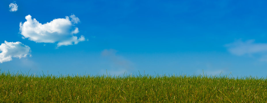 colorful natural landscape with grass, blue sky and a cloud