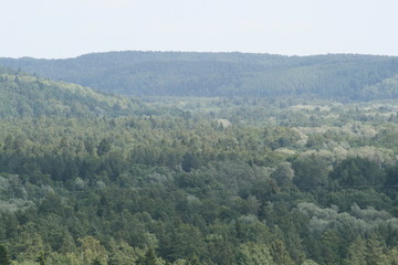 Fototapeta na wymiar view on forests