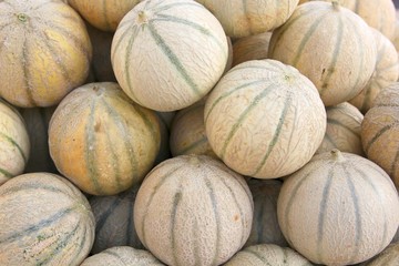 Melons charentais - 16438761
