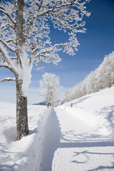 Winterwanderweg