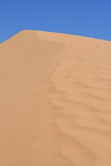 Fototapeta na wymiar Sanddüne mit blauem Himmel