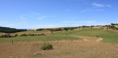 Obraz premium campagne des cévennes