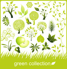 set of design elements. green collection.