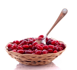 spoon in cranberries on the plate isolated on white