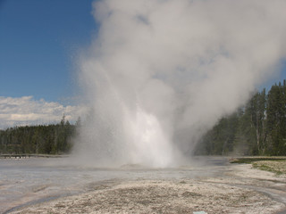 Erupting Daisy Geyser, Yellowstone
