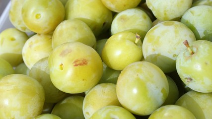 Greengages