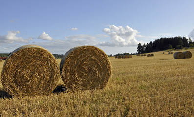 A typically swedish rural farmland