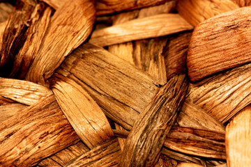 Seelilie © Gieri-Foto