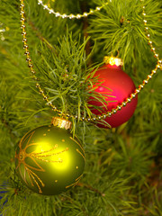 Xmas still-life with fir tree and balls