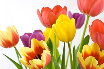 Bunch of colorful tulips