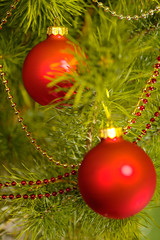 Xmas still-life with fir tree and balls