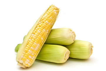 Maize.