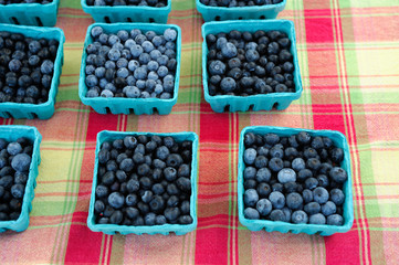 Basket Of Blue Berries