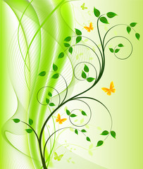 Floral background  vector