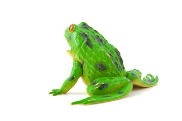 plastic green frog toy over white background