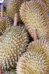 Naklejka na ściany i meble The very smelly durian fruit of Asia