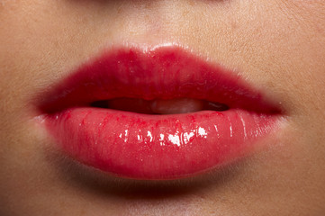 Fototapeta premium fat lips