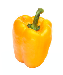 Sweet pepper (paprika) isolated