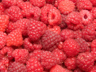 Raspberry berries