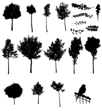 Set of vector tree silhouettes