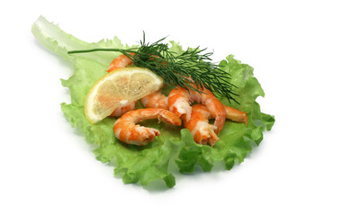 Cooked Shrimps