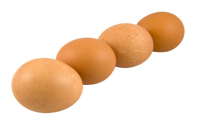 four chicken eggs lined up isolated on white background