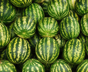 water-melons