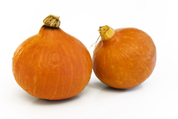 Two Pumpkins